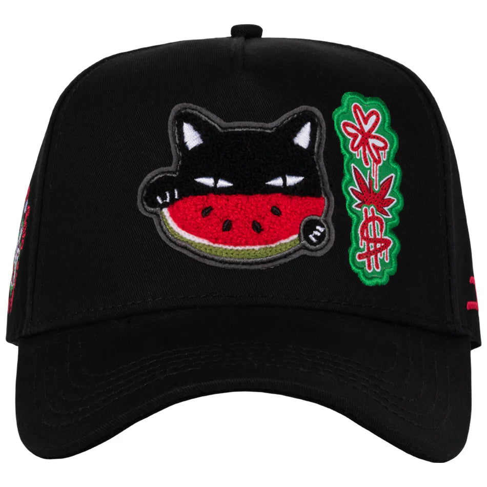 JC HATS - WATERMELON CAT BLACK